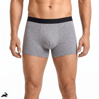 EXCLUSIVE 70% OFF🔥Titan Boxers Leakproof Originals